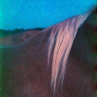 Les Doutes Arno Brignon