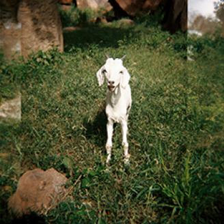 JAYET_MALI_005