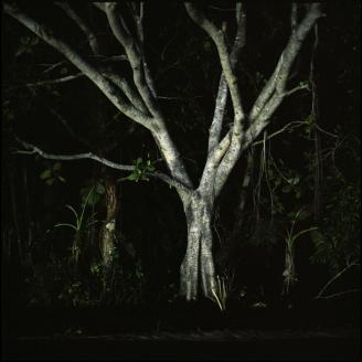 ROUSSELOT_NUIT_029