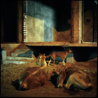 ROUSSELOT_NUIT_031