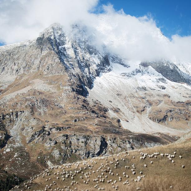 ABADIE_BERENGERE_020