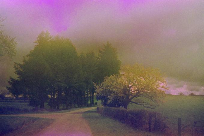 paysage campagne rose Arno Brignon France