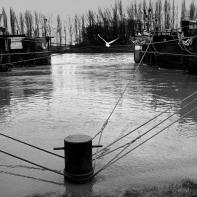 GRIPE_BATELIERS_001