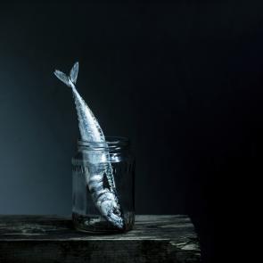 Still Life Joanna Tarlet Gauteur