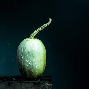 Still Life Joanna Tarlet Gauteur