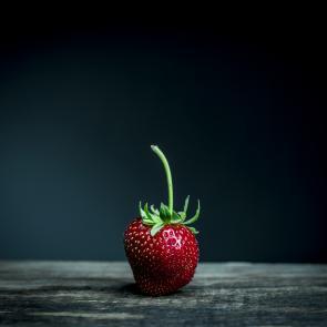 Still Life Joanna Tarlet Gauteur