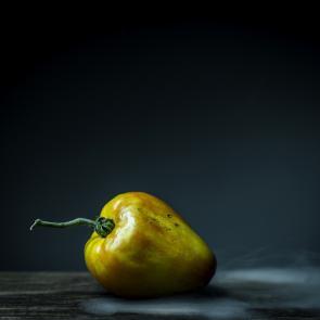 Still Life Joanna Tarlet Gauteur