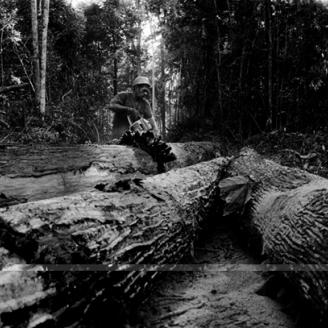 Amazone, un monde en suspens