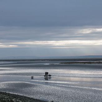 FARCY_SOMME_001