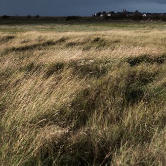 FARCY_SOMME_006
