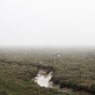FARCY_SOMME_008
