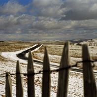 BORREDON_CAUSSE_001