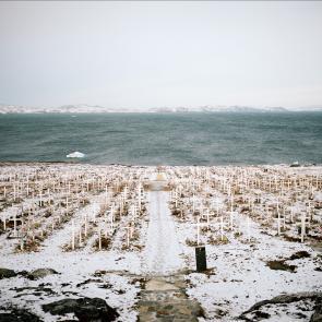 Jérémie Jung - Whiteland - Nuuk, Groenland (Kalaallit Nunaat)