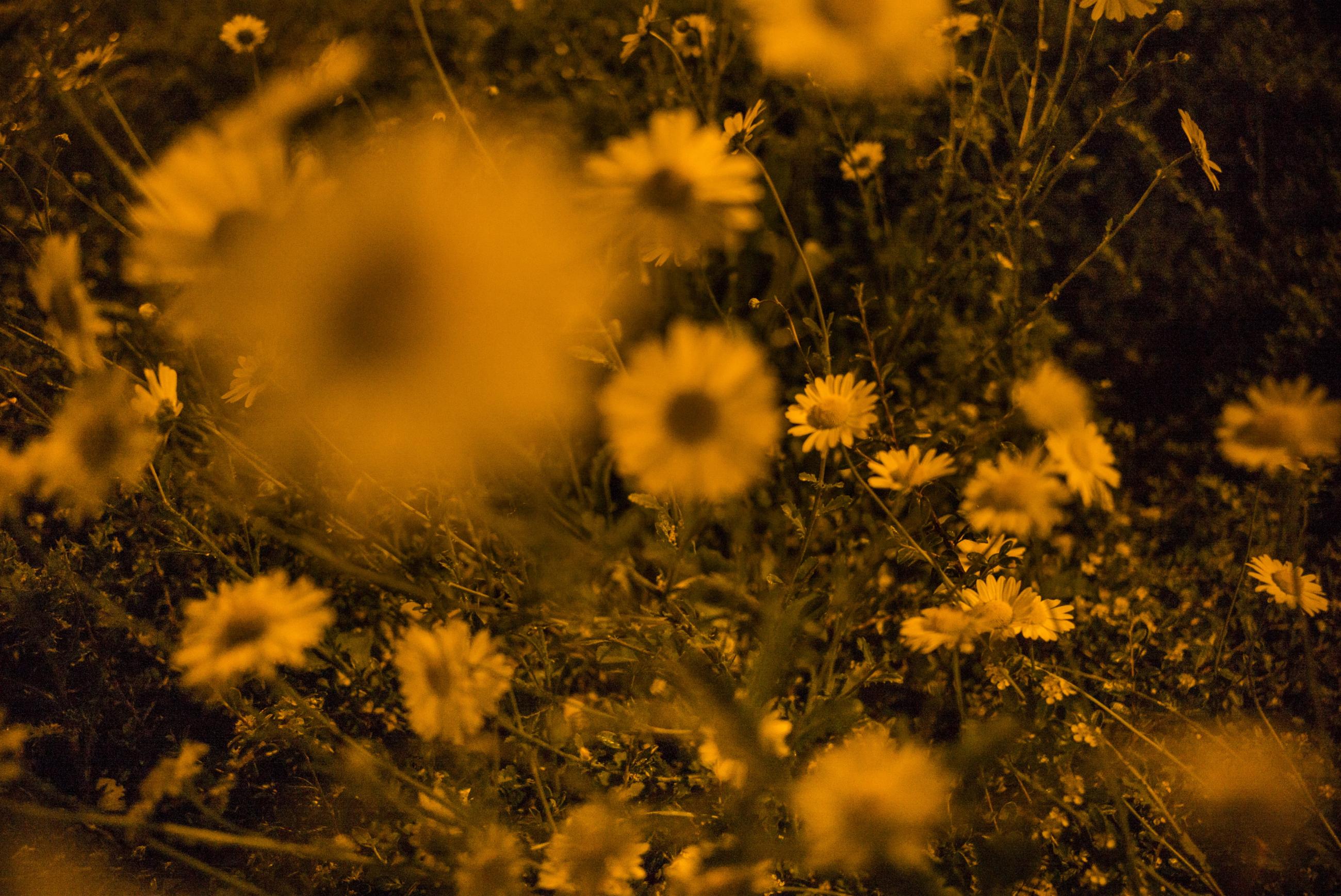 60 m2, 1 km à la ronde Eric Facon