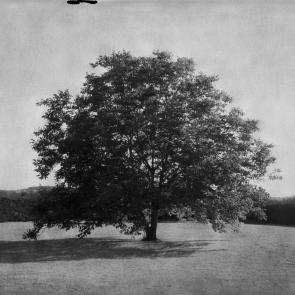 A vol d'oiseau Sophie Brändström