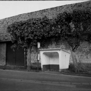 A vol d'oiseau Sophie Brändström