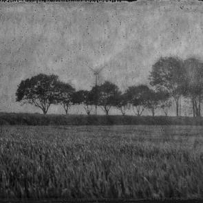 A vol d'oiseau Sophie Brändström