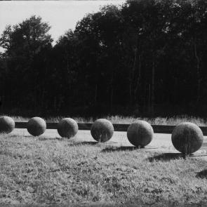 A vol d'oiseau Sophie Brändström