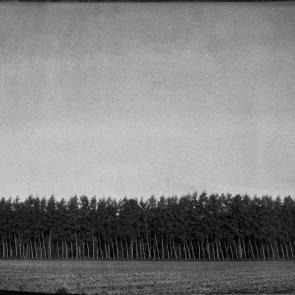 A vol d'oiseau Sophie Brändström