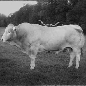 A vol d'oiseau Sophie Brändström