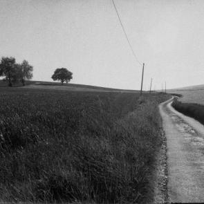 A vol d'oiseau Sophie Brändström