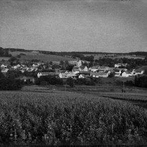 A vol d'oiseau Sophie Brändström