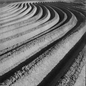 A vol d'oiseau Sophie Brändström